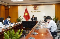 越南与新西兰就印太经济框架内各问题加强磋商