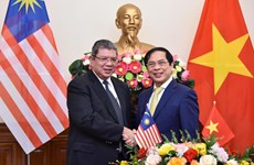 外交部长裴青山与马来西亚外交部长赛夫丁·阿卜杜拉举行会谈