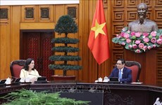 越南政府总理范明政会见世行东亚和太平洋地区副行长