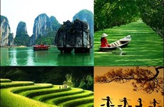 2022年越南艺术摄影大赛即将启动