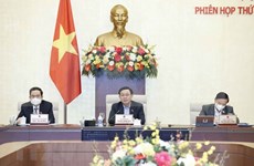 越南国会常务委员会第九次会议：减免汽油和成品油环保税率