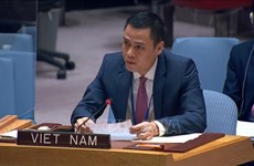 越南支持并愿意为联合国 《我们的共同议程》作出更多贡献