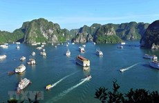 经济社会复苏发展：广宁省下龙市推荐多种海上新旅游产品