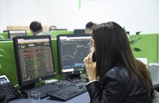 越南股市：29日大盘股强劲返单VN指数上涨近15点