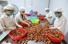 促进对日本市场的农产品出口力度