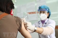 3月30日越南新增新冠肺炎死亡病例为41例 低于七日平均水平 