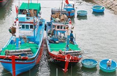 2022年初至今越南海产品捕捞量达56.67万吨