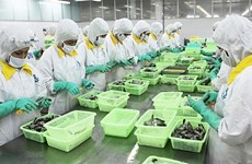 2022年第一季度朔庄省出口额增长近45%