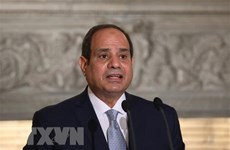 埃及总统塞西：越南与埃及积极维持友好合作关系
