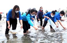 广宁省在拜子龙湾放养230万只水产苗种