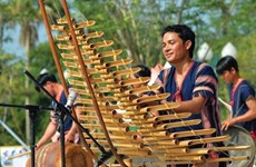 越南各民族传统乐器展即将在芹苴市举行