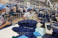 印度企业：越南是充满发展潜力的市场