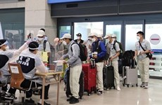 韩国豁免隔离检疫 继续延长越南劳工合同