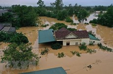 越南实施《到2025年国家自然灾害防治计划》