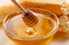 美国商务部将越南蜂蜜反倾销税下调近7倍