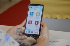 岘港市公布儿童保健网和手机应用程序