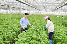 宁顺省加大高科技应用力度 推进农业农村现代化