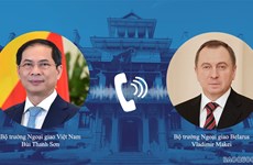 越南外交部长裴青山与白俄罗斯外交部长马克伊通电话