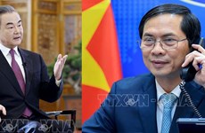 越南外交部长裴青山同中国外长王毅通电话