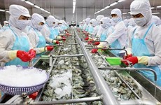 加强水产资源保护修复 促进越南渔业可持续发展