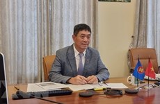 越南参加东盟互联互通协调委员会2022年首次会议