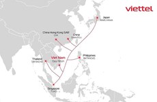 越南带宽容量最大海底光缆项目拟于2023年投入运营