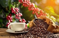 2022年越南特产咖啡大赛开幕