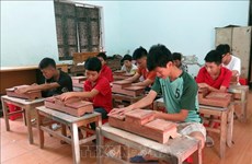 越南孤儿和残疾人保护协会第六次全国代表大会即将召开