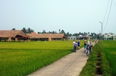 2002年国家旅游年：遗产之地田野上的越南印象