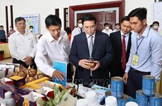 越南政府总理：构建开放、透明、公正、安全、高效、可持续的投资生态与环境