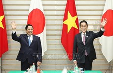 越南与日本合作关系潜力巨大