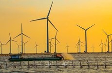 能源多样性：海上风电的发展潜力