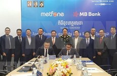  越南企业开展总值达1亿美元信贷计划升级柬埔寨电信网络