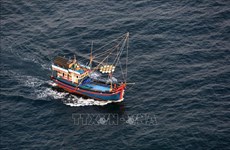 越南渔业协会反对中国单方在东海实施捕鱼禁令