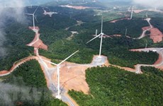 能源多样化：广治省促进风力发电效率