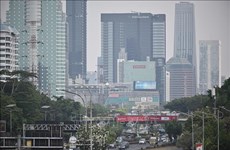 气候变化：印度尼西亚将承办首届彭博零排放峰会