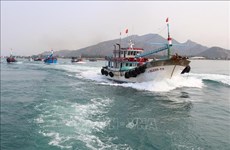 越南渔民在越南的海域进行正常捕捞作业