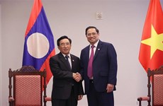 越南政府总理范明政会见老挝总理潘坎·维帕万
