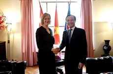 越南与丹麦促进人民交流 巩固双边关系