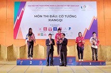 第31届东运会：越南象棋队获得三枚金牌 夺得团体第一名