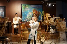 新活力竹乐团着力普及推广越南传统音乐