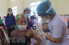 5月23日越南新增确诊病例1179例 新增死亡1例