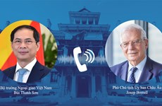 越南外交部长裴青山与欧委会副主席博雷利和匈牙利外长西雅尔多通电话