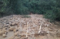 越南北部连续多日遭暴雨袭击已致8人伤亡  多条道路发生山体滑坡