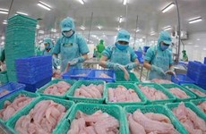 越南查鱼出口增长97%