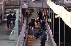 日本大阪越南留学生被害案：建议判处被告有期徒刑18年