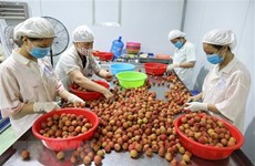 越南水果颇受东京消费者的青睐