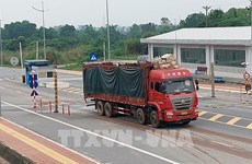 广宁省芒街国际口岸自重启以来货物吞吐量累计超过45300吨