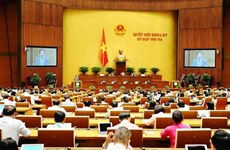 越南第十五届国会第三次会议：国会通过有关2023年监督工作计划的决议