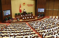 越南第十五届国会第三次会议：对农业与农村发展领域进行质询